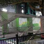 A rope bridge at The Building For Kids, Children's Museum.