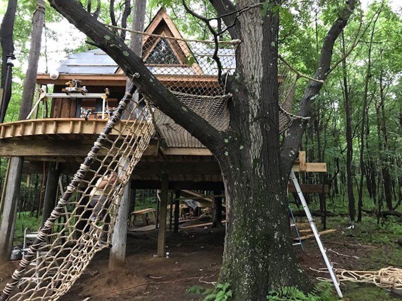 A climbing net leading up to a treehouse.