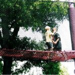 Children playing on a rope bridge.