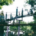 Views of rope bridges in an amusement park