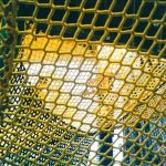 Yellow climb netting