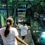 A rope bridge is a fun things for playground areas and amusement parks.